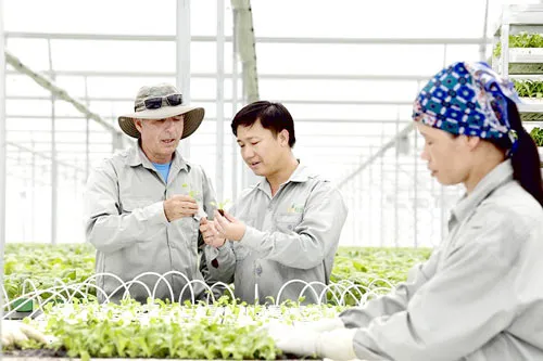 Bài 1: Không lo đầu ra, chỉ cần khát vọng