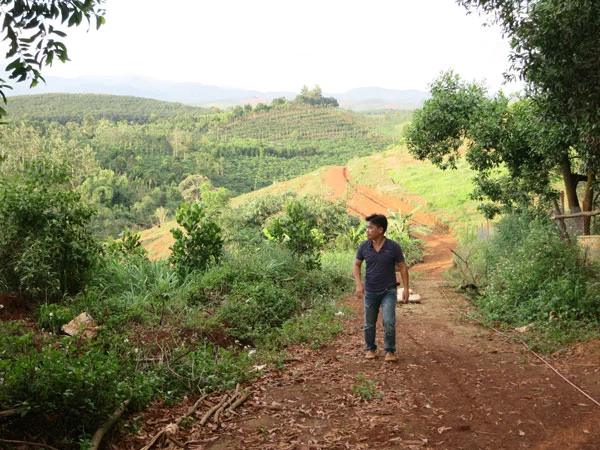 Kiểm tra vi phạm trong vụ cấp sổ đỏ cho lãnh đạo tỉnh Đắk Nông