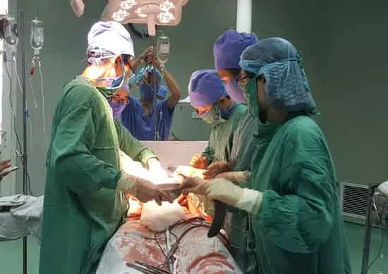 Ngăn trâu húc nhau, một người tử vong