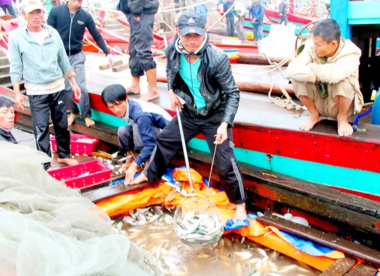 Thiếu hụt lao động biển