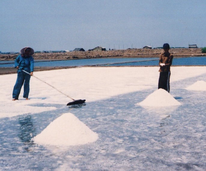 Farmers in the Mekong make salt (Photo: SGGP) Farmers in the Mekong make salt (Photo: SGGP)