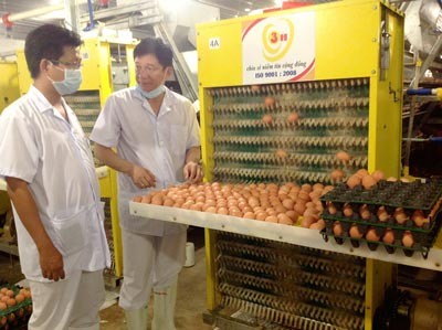 Ba Huan's clean egg production chain Ba Huan's clean egg production chain