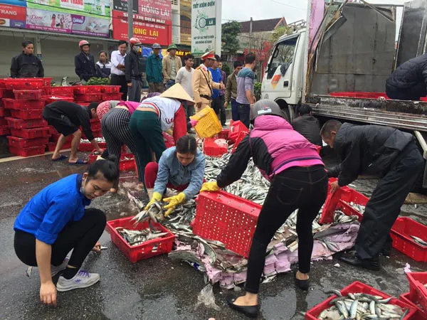 Hà Tĩnh: Xe chở hai tấn cá lật ngã, người dân phụ tài xế thu gom ảnh 2 Hà Tĩnh: Xe chở hai tấn cá lật ngã, người dân phụ tài xế thu gom ảnh 2