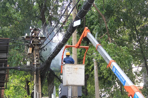 Nhánh cây gãy gây cháy dây điện ảnh 1 Nhánh cây gãy gây cháy dây điện ảnh 1