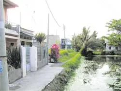 Làm sao cho kịp?