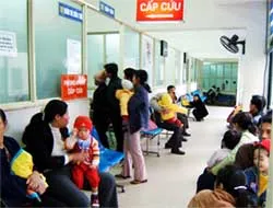 Bệnh viêm não do não mô cầu chưa phát thành dịch