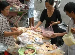Nỗ lực triển khai nhiều biện pháp đối phó dịch cúm gia cầm ảnh 7 Nỗ lực triển khai nhiều biện pháp đối phó dịch cúm gia cầm ảnh 7