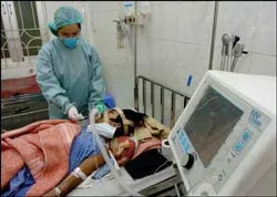 Nỗ lực triển khai nhiều biện pháp đối phó dịch cúm gia cầm ảnh 8 Nỗ lực triển khai nhiều biện pháp đối phó dịch cúm gia cầm ảnh 8