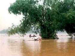 Coi trọng bài học "4 tại chỗ"