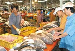Chưa đúng nghĩa là chợ đầu mối