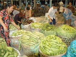 Được và chưa được
