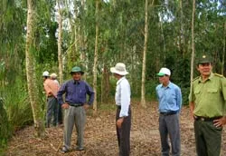 Tiềm năng một khu du lịch sinh thái
