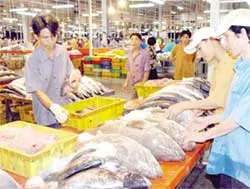 Hàng hóa đồng loạt tăng giá