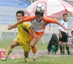 Cần Thơ “ngã ngựa” ảnh 1 Cần Thơ “ngã ngựa” ảnh 1