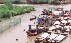 Rưng rưng muối đắng ảnh 2 Rưng rưng muối đắng ảnh 2