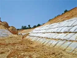 Dân khổ vì nước chảy ngược