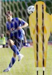 Juninho: "Với Brazil, bán kết là thất bại” ảnh 1 Juninho: "Với Brazil, bán kết là thất bại” ảnh 1