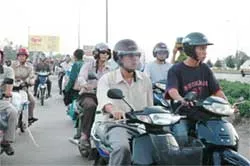 Tập thói quen đội mũ bảo hiểm