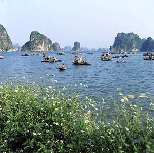 Ha Long to get public info computers ảnh 1