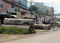 Thêm một công trình... rùa!