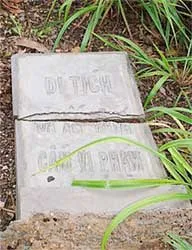 Bài 2: Đua nhau chia nền