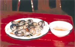 Ốc núi Tây Ninh