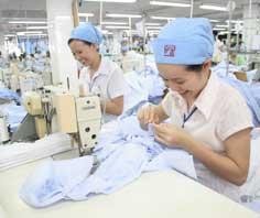 Tips for Vietnamese Enterprises on the WTO Threshold ảnh 1 Tips for Vietnamese Enterprises on the WTO Threshold ảnh 1