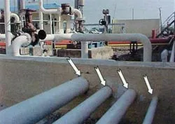 Tạm đình chỉ công tác Phó Tổng Thanh tra Trần Quốc Trượng