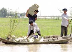 Lại nóng bỏng nạn buôn lậu xăng dầu, đường cát