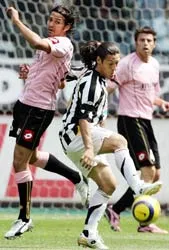 Juventus: Camoranesi Sẽ không dễ dàng ra đi ! ảnh 1 Juventus: Camoranesi Sẽ không dễ dàng ra đi ! ảnh 1
