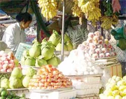 Giải đáp - Tư vấn