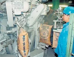 Giá xi măng ổn định, nhựa tăng 5%-8%