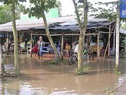 Lũ và triều cường ngập nội ô Cần Thơ