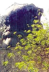 Về tượng đài Phan Bội Châu ở Huế
