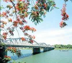 Nỗi buồn hoa phượng