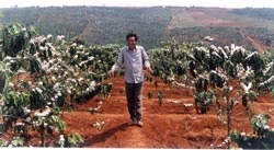 “Hợp đồng tương lai” - xu thế của hội nhập, nhưng…