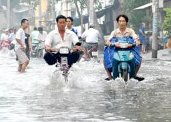 Nỗi khổ triều cường!
