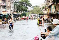 Thiệt hại ngày càng nặng