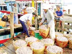 Đà Nẵng: Tất cả các hộ bị sập nhà sẽ có nhà mới đón Tết