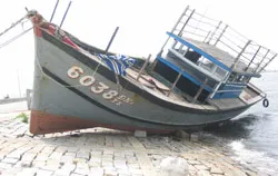 Vì sao ngư dân chưa “mặn mà” với Âu thuyền Thọ Quang?