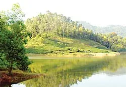 Mãi mãi…