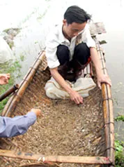 Mưu sinh cùng sóng gió ảnh 2 Mưu sinh cùng sóng gió ảnh 2