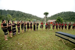 Buffalo Sacrifice Festival in Central Highlands ảnh 1 Buffalo Sacrifice Festival in Central Highlands ảnh 1