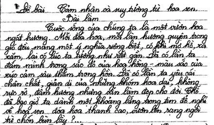 Cảm nhận và suy tưởng từ hoa sen