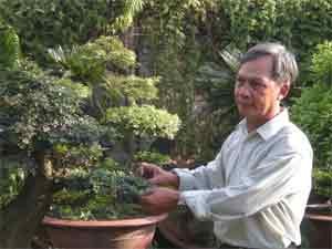 Toan tends a bonsai tree in his garden Toan tends a bonsai tree in his garden