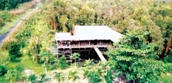 U Minh Hạ, mùa canh lửa