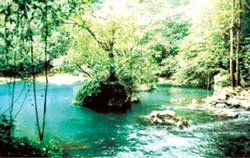 Đánh mất…