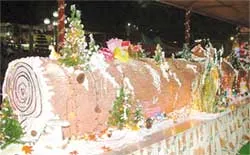 Bánh kem khổng lồ, hoa đăng rực rỡ ảnh 1 Bánh kem khổng lồ, hoa đăng rực rỡ ảnh 1