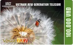 Giới thiệu một số loại thẻ Internet phone của các nhà cung cấp chính thức tại Việt Nam ảnh 2 Giới thiệu một số loại thẻ Internet phone của các nhà cung cấp chính thức tại Việt Nam ảnh 2