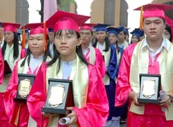 Không thể cải cách nửa vời